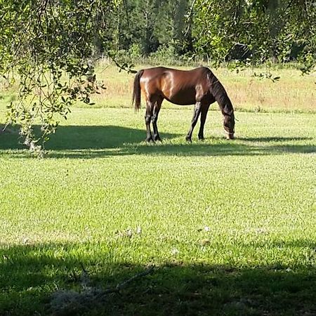 Kokomo Farms Live Oak Esterno foto
