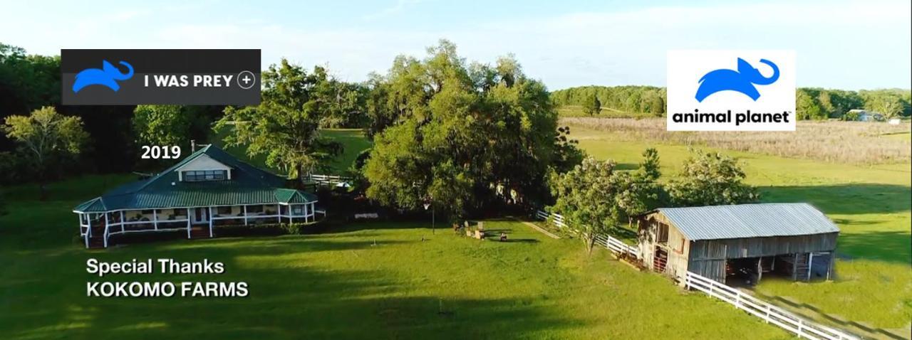 Kokomo Farms Live Oak Esterno foto