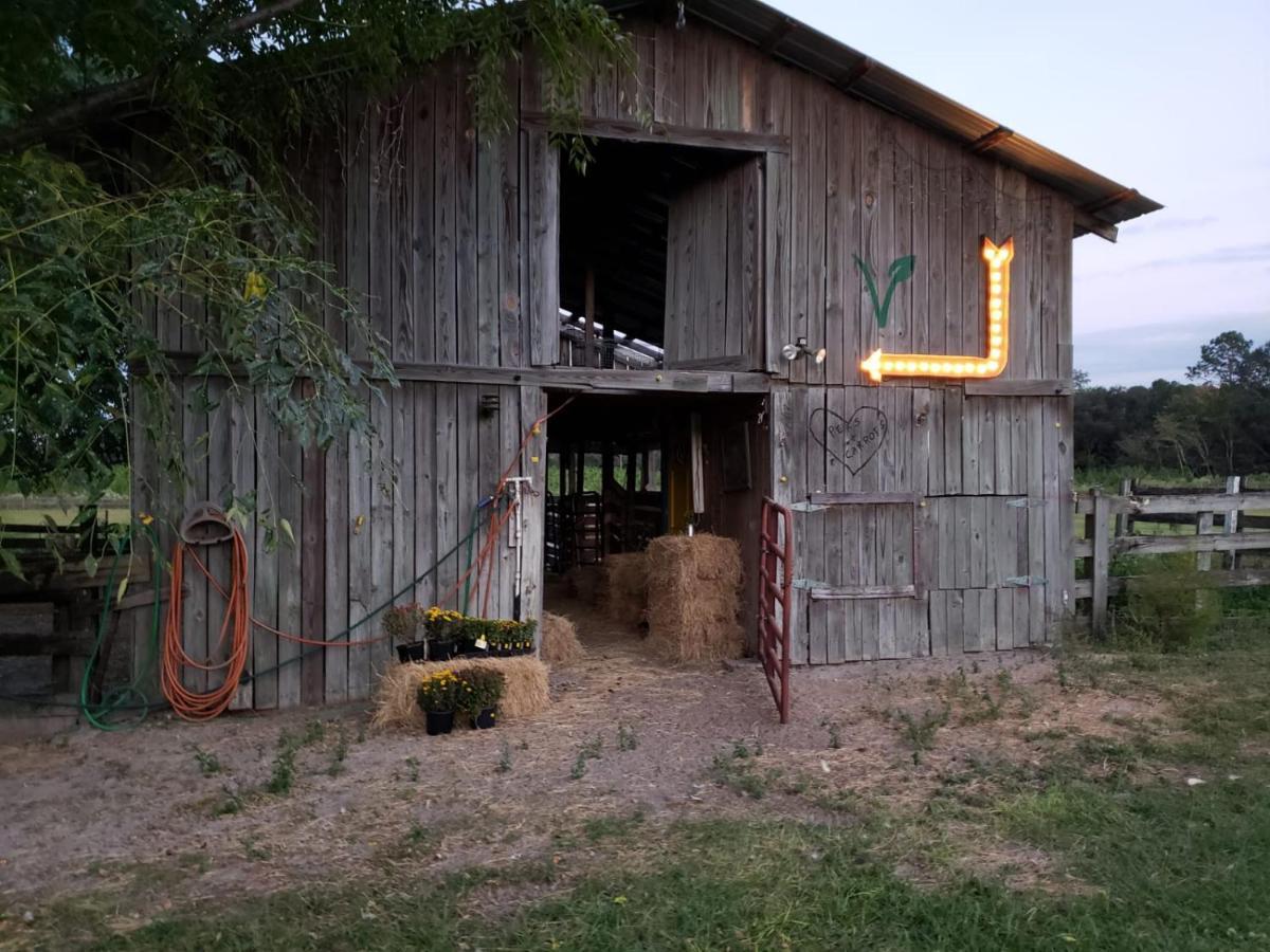 Kokomo Farms Live Oak Esterno foto