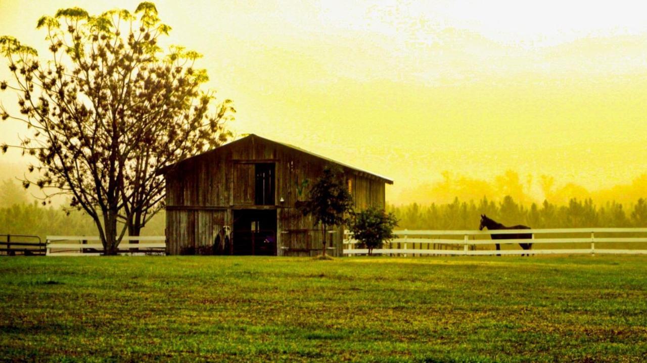 Kokomo Farms Live Oak Esterno foto