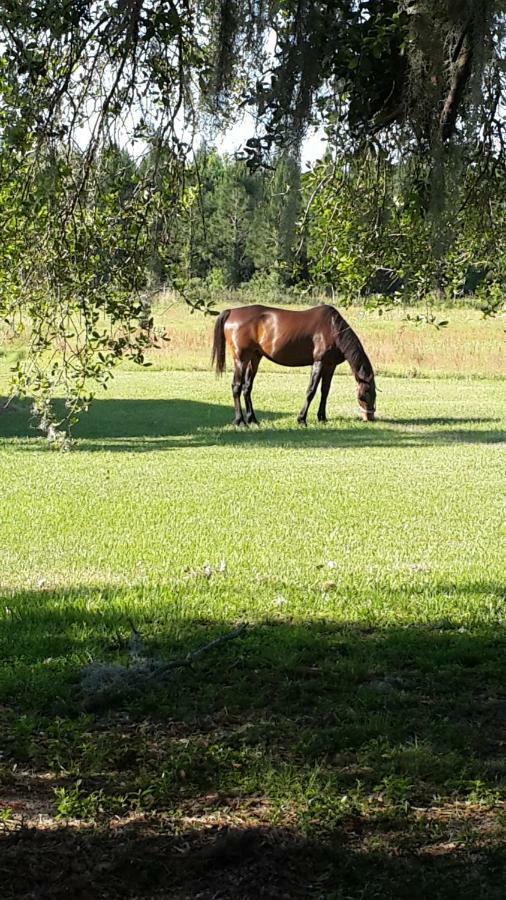 Kokomo Farms Live Oak Esterno foto