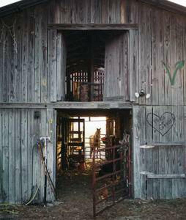 Kokomo Farms Live Oak Esterno foto